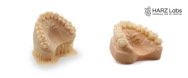 Dental Model Beige (6).png