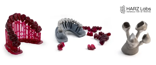Dental Cast (9).png