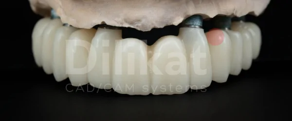 dilikat pmma mono.png