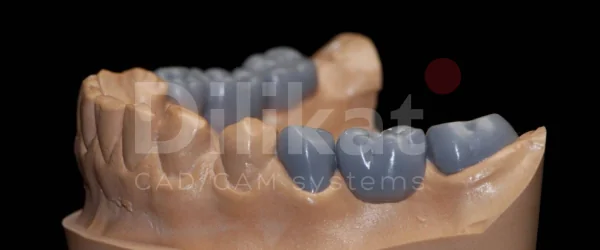 dilikat wax (1).png