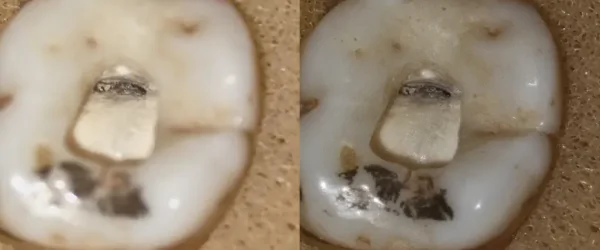 SREFO R-1513 (13).png