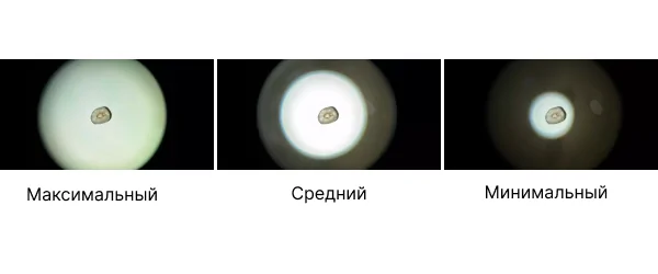 SREFO R-1513 (11).png