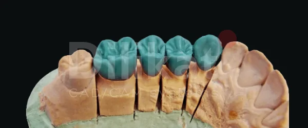 dilikat wax (2).png