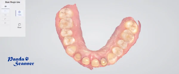 Frame 2095585218.png