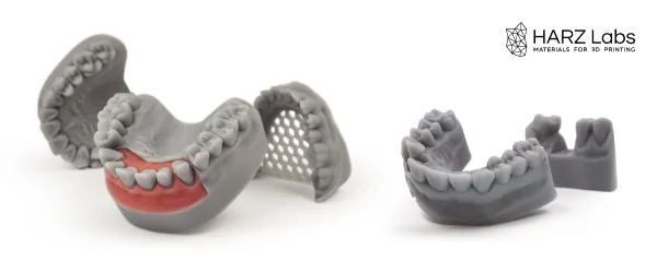 Dental Model Light Grey (7).png
