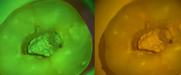 SREFO R-1513 (12).png