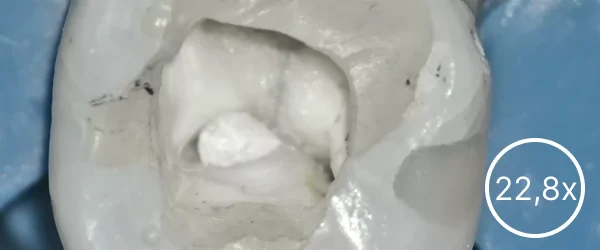 SREFO R-1513 (17).png