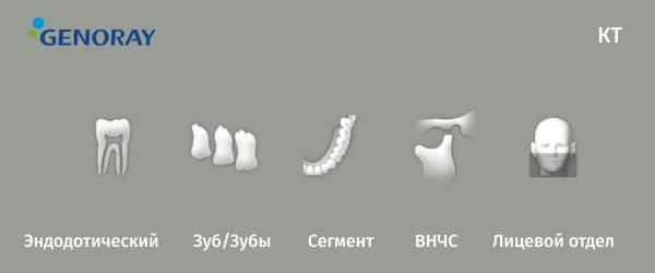 Papaya 3d (4).png