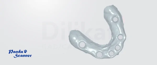 panda smart (14).png