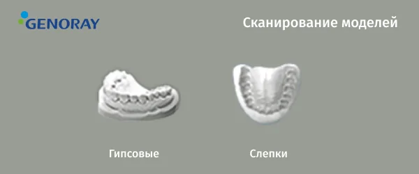 Papaya 3d (3).png