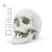 Фотополимерная смола HARZ Labs Demo Bone, 1 кг