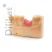 Фотополимерная смола HARZ Labs Dental Pink Soft, гибкий розовый (1000 гр)
