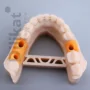 Фотополимер Gorky Liquid Dental Gingiva LCD/DLP